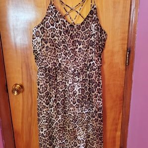 Maurices Size 2 leopard print dress